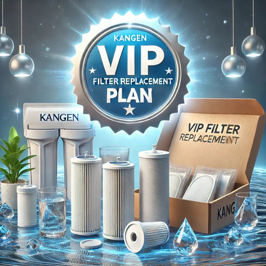 VIP Filter Replacement Plan – Hassle - Free, Worry - Free Filtration! - Hydroheim